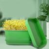 Plastic Sprouting Tray Kits Microgreens Growing Trays for Sprouting  Bean Wheatgrass Sprout Maker Container