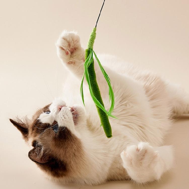 Flexible Cats Toy Teaser Wand for Home Entertainment and Felines Fitness