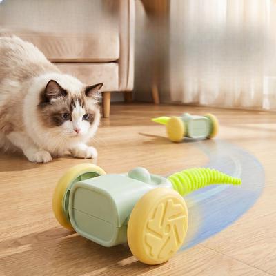 Gatti – Giocattoli per gatti
