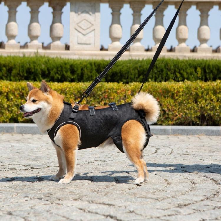 Dog Mobility Aid Harness With Reinforced Padding For Pet Dog Rehabilitation NonChoking Lift Slings for Elderly Pet Dog