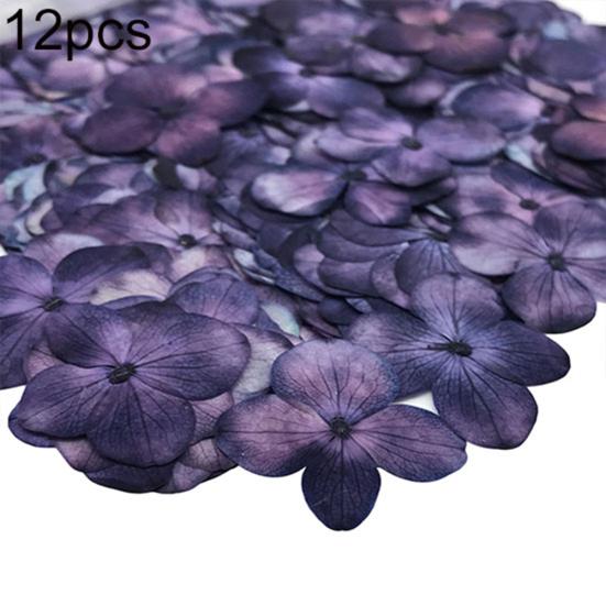 12Pcs Pressed Dried Epoxy Flower Plant Specimen Decor Resin Phone DIY