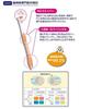 [Taisho Pharmaceutical] Dentwell Dental Toothbrush, Ultra Compact, Soft Bristles x 12-Pack