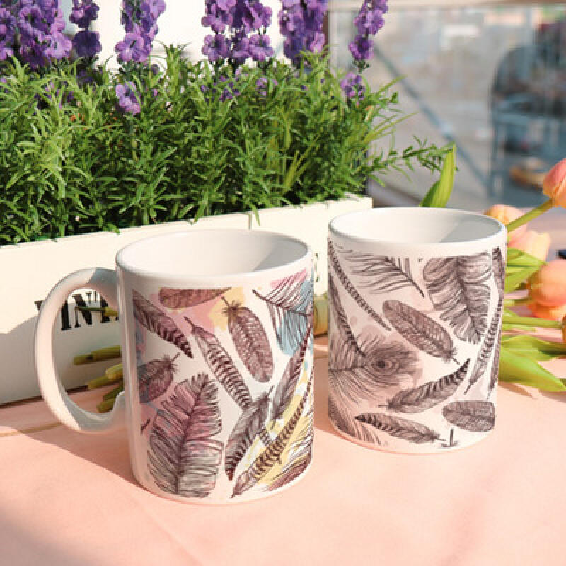 ib257-Design Mug 2p-Various Feathers
