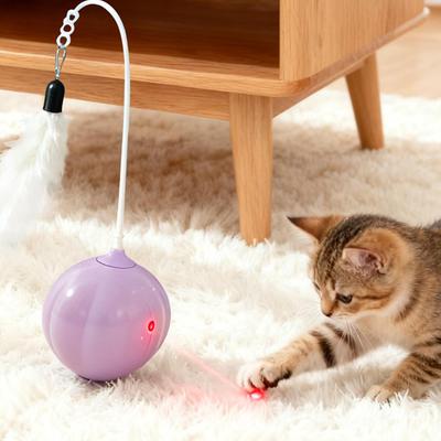 Kedi – Kedi Oyuncakları