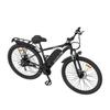 Zazawork CF29 Elektrofahrrad 250W Motor 29"x2.1" Reifen Stadtelektrofahrrad 21 Gänge Doppelscheibenbremsen 48V 15Ah LED-Anzeige Höchstgeschwindigkeit 35 km/h