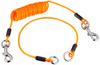 Perros – Collares y correas