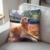 1 personalized photo pillowcase - charming geometric pattern design, zipper closure, machine washable - gift for couples, pets,