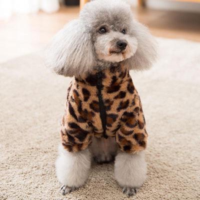 Leopard Print Cotton Winter Coat for Dogs: Fits French Bulldogs, Poodles, Bichons, Pomeranians, and Cats