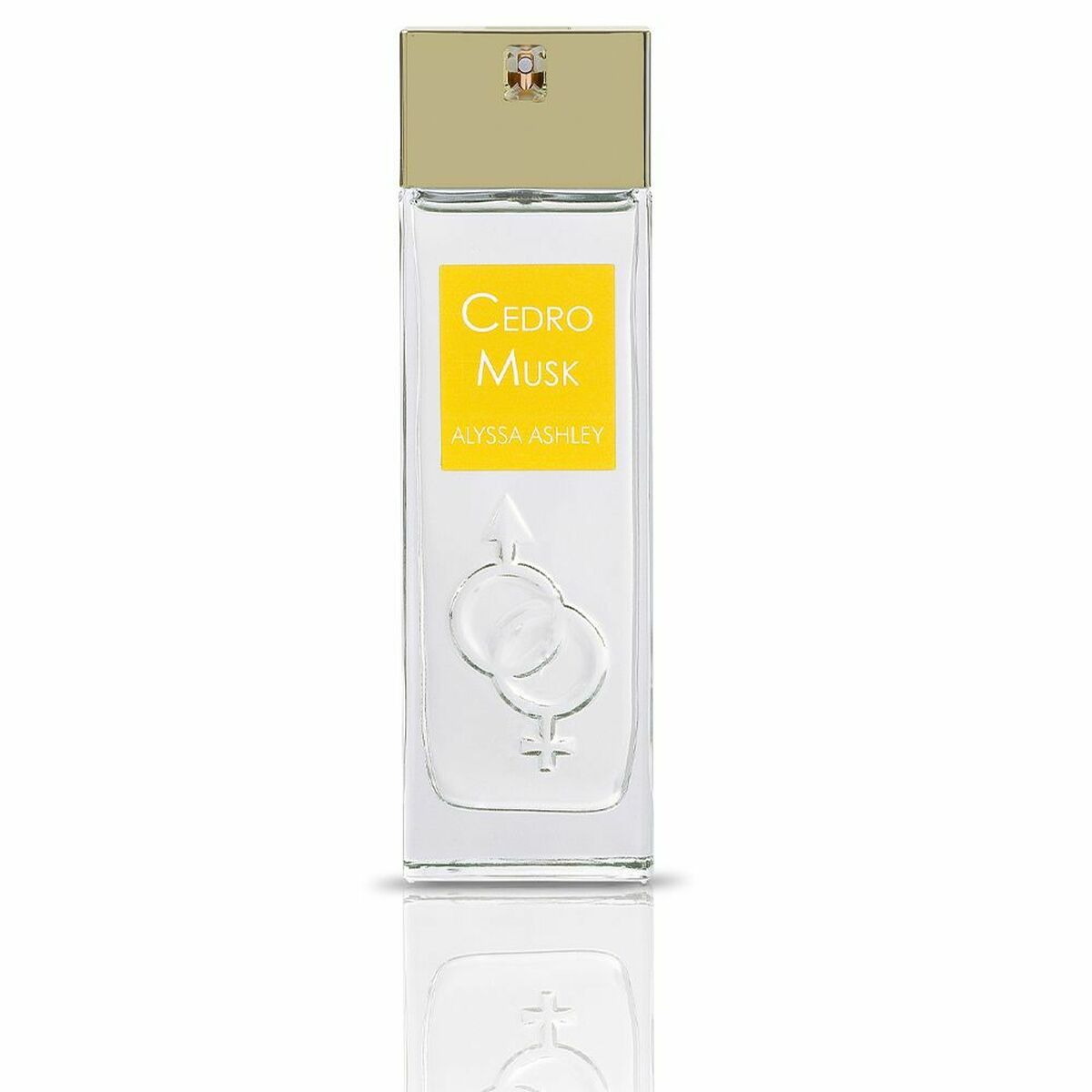 

Parfum Unisexe Alyssa Ashley Cedro Musk EDP EDP 100 ml