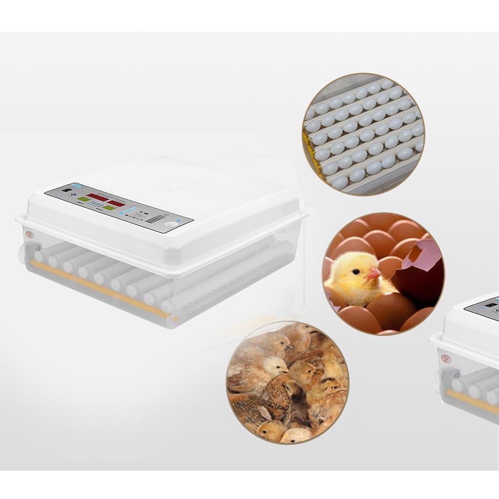 80W Automatic Farm Hatchery Incubator Brooder Machine 64 Eggs Turning Incubator Egg Hatchers For Chicken Poultry Bird Quail