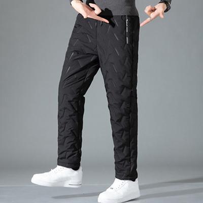 Winter Fall Men Sport Pants Loose Elastic Waist Thick Plush Waterproof Padded Pockets Loose Straight Solid Color Exercise Trousers Daily Wear