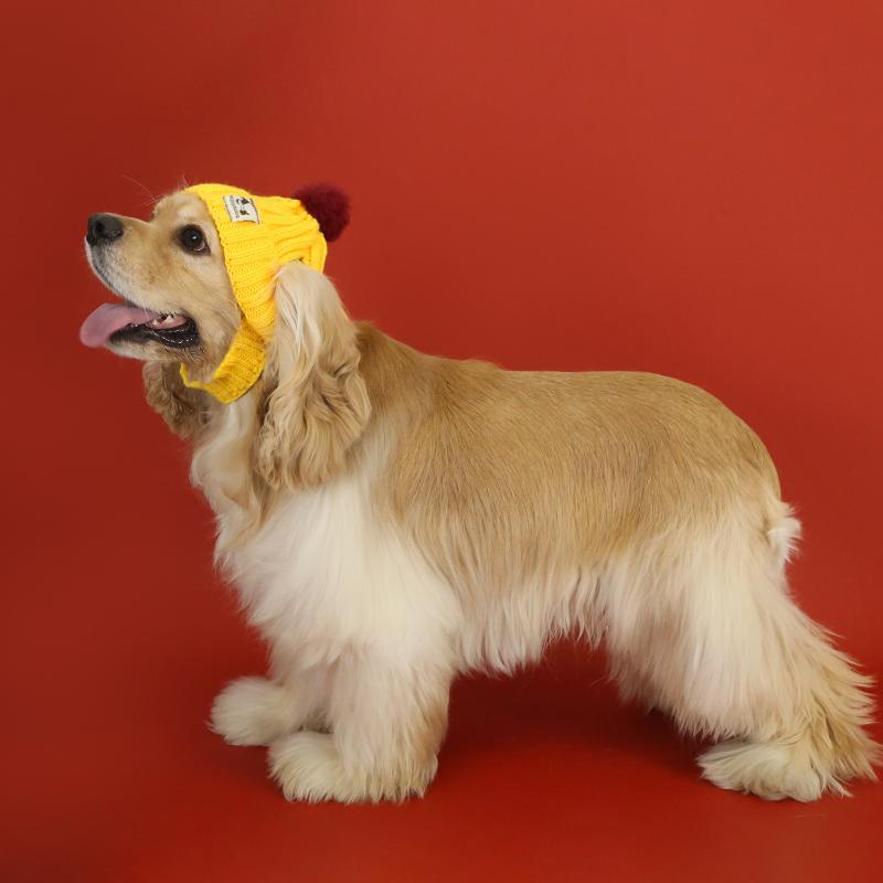 Winter Knitted Pet Dog Hat Ear Exposed Windproof Cat Headband Fashion Fur Ball Headgear for Autumn And Winter Pet Dress Up