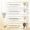 Lion Fine Tooth Clean Wide Head Pearl White Toothbrush