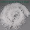 Fluffy Feather Trim For Clothes, Ostrich Feathers, Fluffy Boa, Shawl, Wedding Dress Decor, 2M Thick, 6 Layers