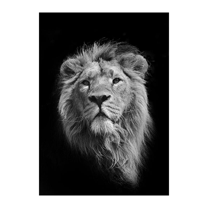 

Черно-белый свирепый лев, холст, живопись, постеры, принты, скандинавский куадрос, настенная картина для гостиной 20x30cm