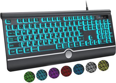 Großer Text, Hintergrundbeleuchtung, leise, USB-kabelgebundene Computertastatur in voller Größe mit leuchtender weißer LED, kompatibel mit Windows, schwarze Zusatztastatur, Tastatur, Desktop,