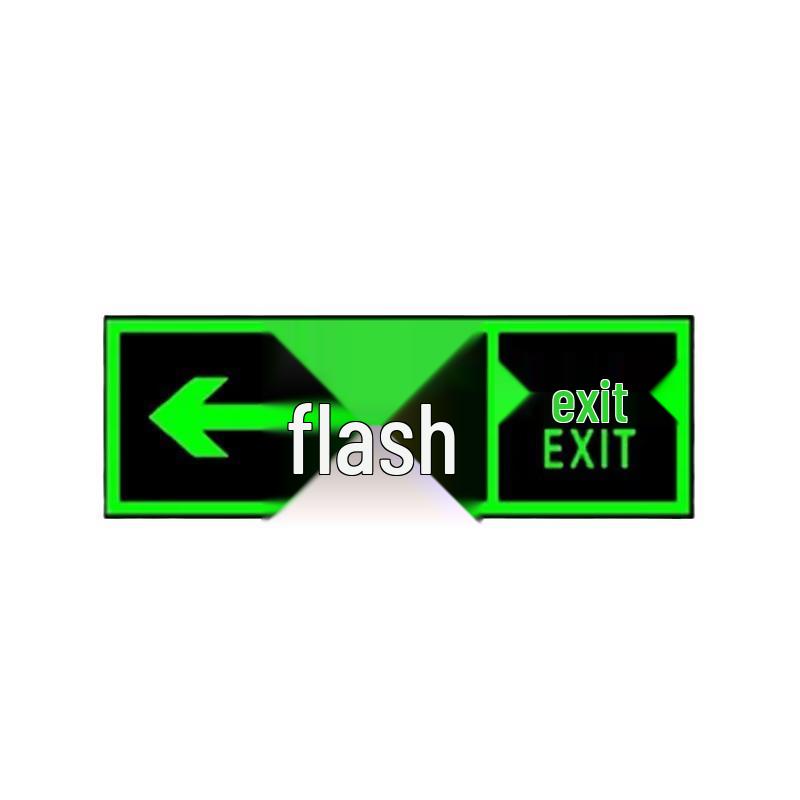 Li Jiuhong Glow-in-the-Dark Safety Exit Sign Sticker