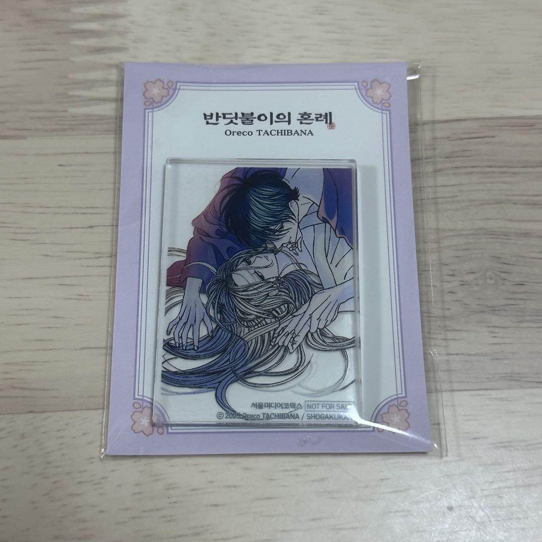 

[USED] Tachibana Oreko Hotaru no Yomeiri Korean Version Store Bonus Acrylic Magnet Acrylic
