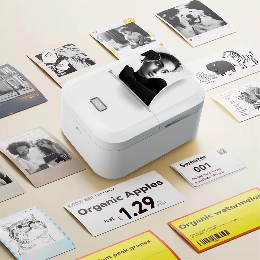 X2 Dual-Mode Inkless Thermal Label Printer for Computer & Mobile, Bluetooth QR Code Capable