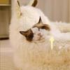 Cat Cave Bed Cozy Warming House Tunnel Indoor Cat House Bed For Outdoor Winter Sleeping Outside Home Travel Bedroom Balcony