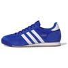 R71 'Team Royal Blue' IH1325