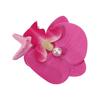 5 PCS Resin Starfish Flower Hair Clip Korean Style Moth Orchid Side Clip  Summer