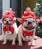 Christmas Pet Hat Cute Antlers Saliva Towel for Dog Cat Dress Up Supplies Scarf Autumn and Winter Clothes Pet Accessory