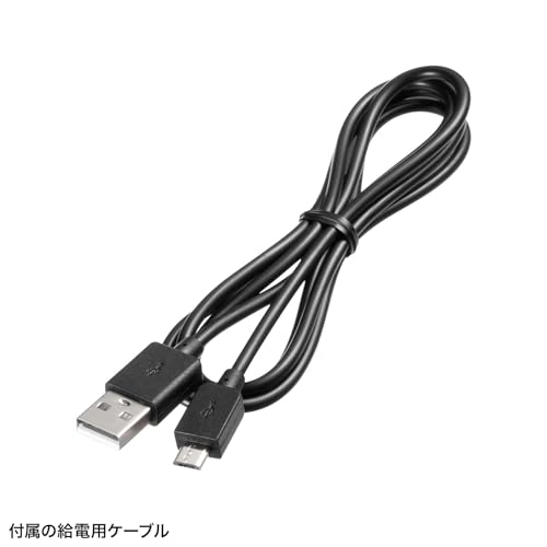 Sanwa Supply HDMI to DisplayPort Adapter (8K/30Hz) AD-HD32DP