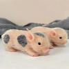 Weiche Silikon-Schweinepuppe Vollkörper-Silikon-Schweinepuppe Weiche Haptik 5 Zoll Niedliche Tiere Lebendiges Schweinebaby Kinderspielzeug Fotografie Requisiten