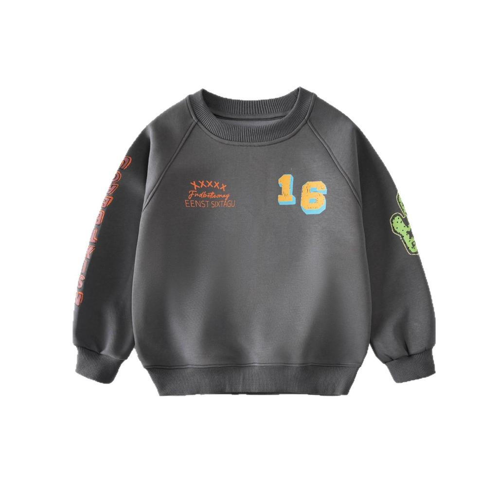 Boys' Autumn 2025 Long Sleeve Casual Sweatshirt