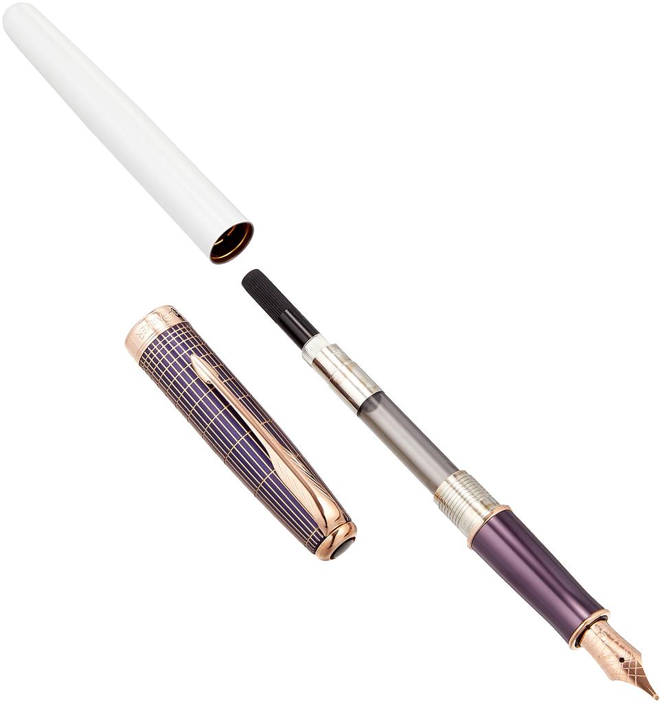 Parker Sonnet Great Expectations Special Edition Fountain Medium Purple Officially Imported Pen, Nib, Sizzle, 1930529, Dual-Use,