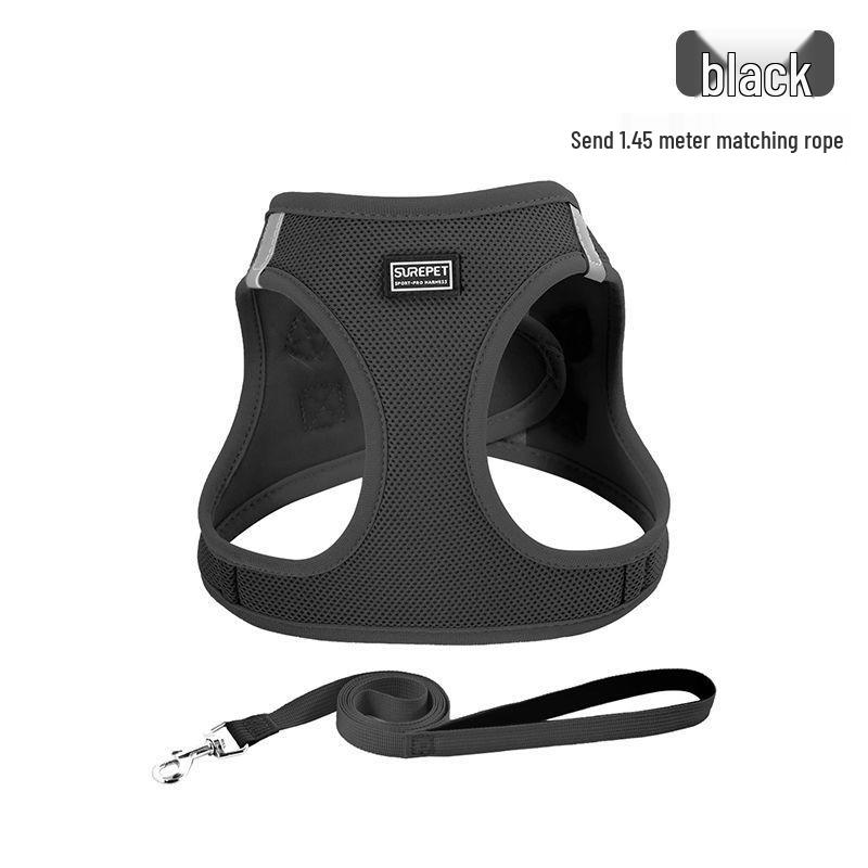 Escape-Proof Cat & Small Dog Harness Leash - Outdoor Walking Rope for Teddy & Bichon Frise