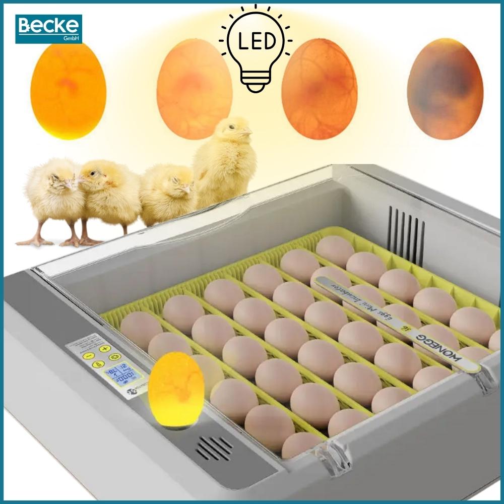 Automatic incubator, hatcher, egg turner, egg hatcher, egg turner 36