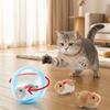 Built-in Plush Animal Interactive Cat Toy Transparent Hamster Chasing Ball  Training