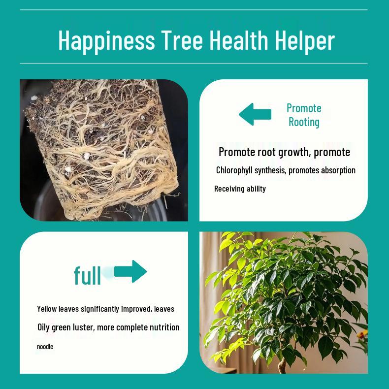 Concentrated Nutrient Solution for Indoor Green Plants & Flowers
