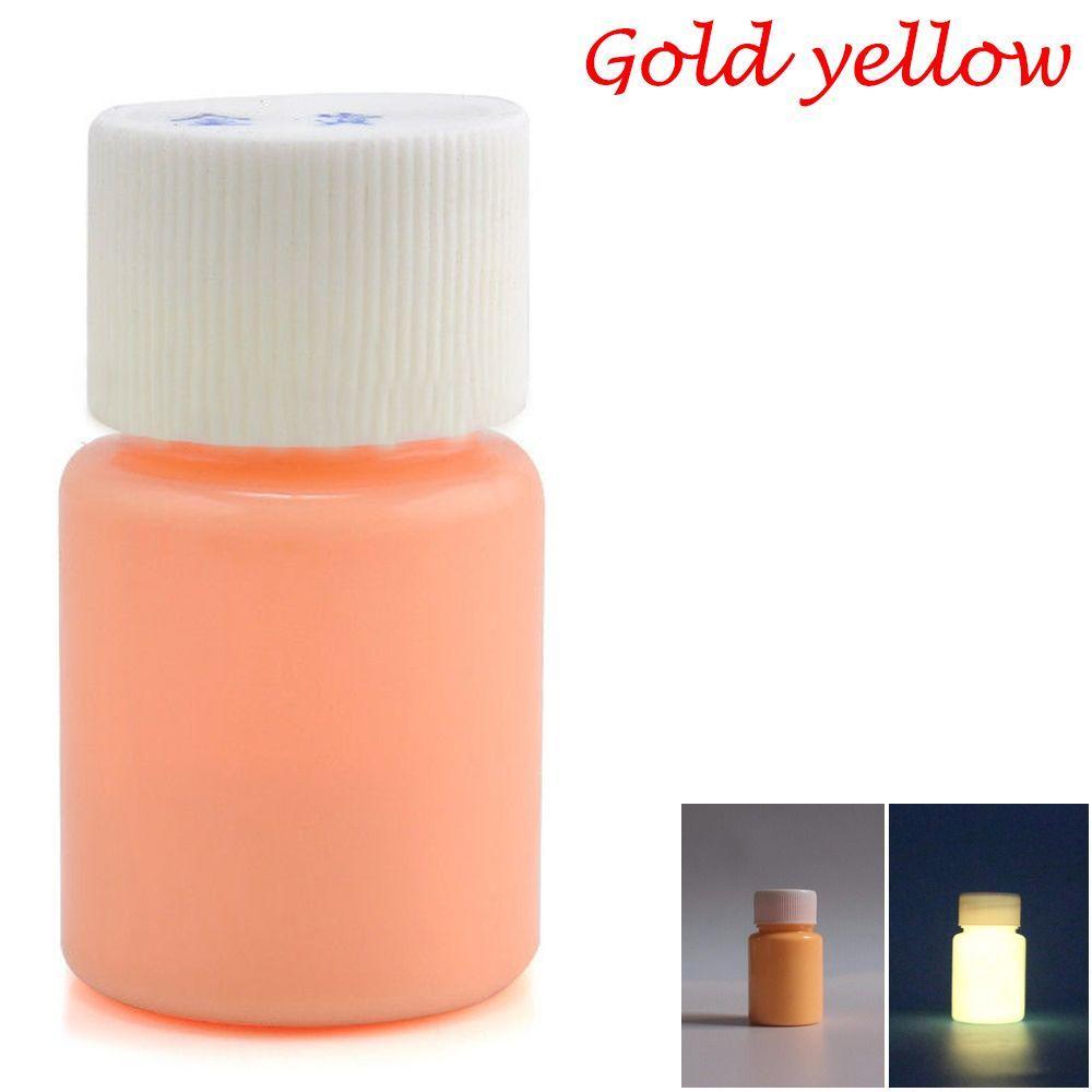 20g Fashion Bright DIY Craft Luminous Paint Acrylic Glow In The Dark Pigment