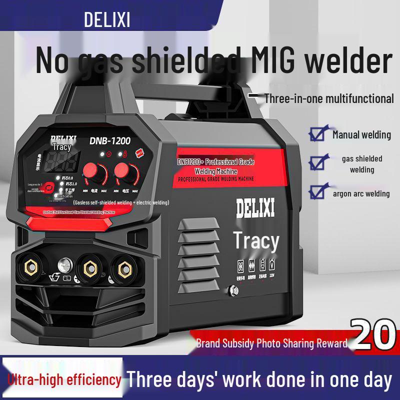 Delixi Multifunctional Gasless MIG & TIG Welder for Industrial and Household Use