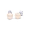 Earrings - PEARLS & COLORS - Pearls & Colors - Freshwater Pearl - Pink Pearl 6-7 Mm - 925 Sterling Silver