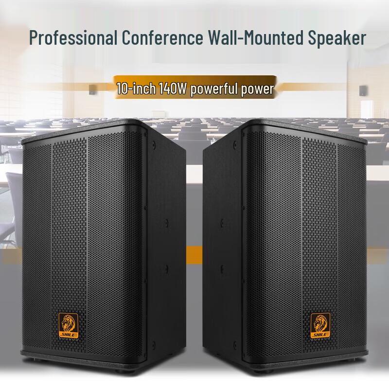 SHILE 10-inch Professional Conference Speaker