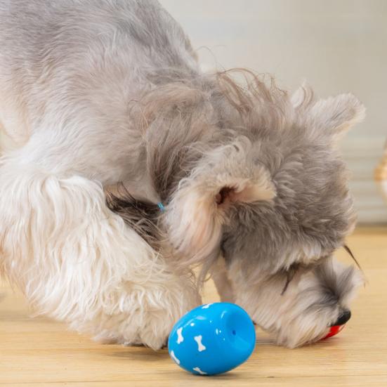 TPR Egg Dog Chew Toy with Squeaker Small Medium Breed Dogs Teething Cleaning Toy Pet Interactive Boredom Relief Toy