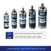 24V High Torque DC Brushed Planetary Gear Motor