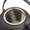 Oigen Nanbu Ironware Seieido Nanbu Ironware Teapot Maromi Arale Small Open Fire E-110S