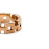Daniel Wellington Perfect Pair 3-Link Ring Fashion Ring Couple Friendship Ring (Type A)
