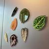 Metal Surface Magnet 3D Tropical Plants Refrigerator Magnet, Acrylic Green Decorative Fridge Leaf Shaped Magnets Memo Notes Photo Holder for