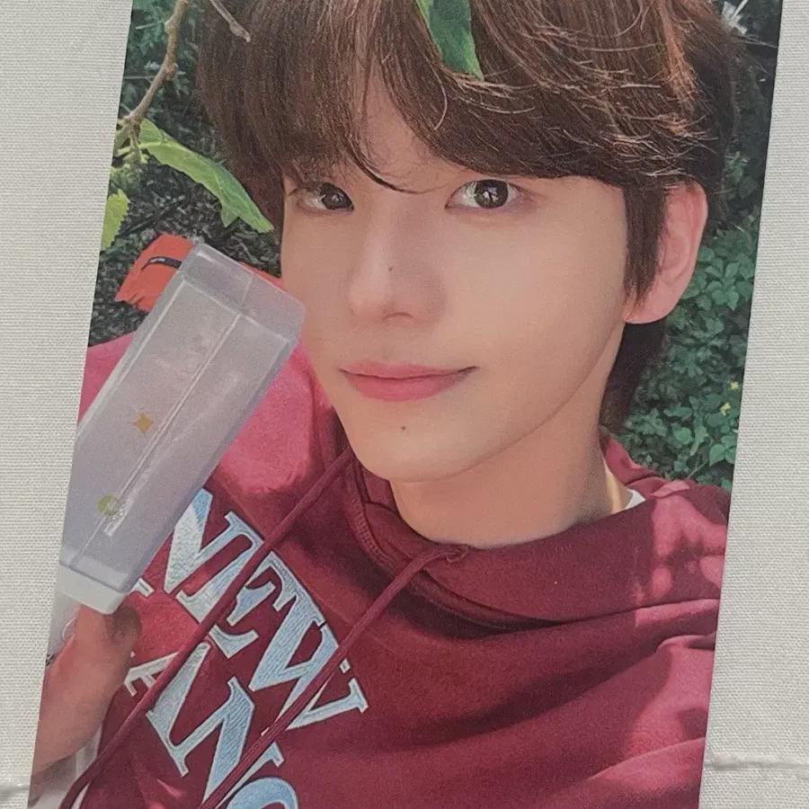 42 Zone Concert Shinyu Photocard