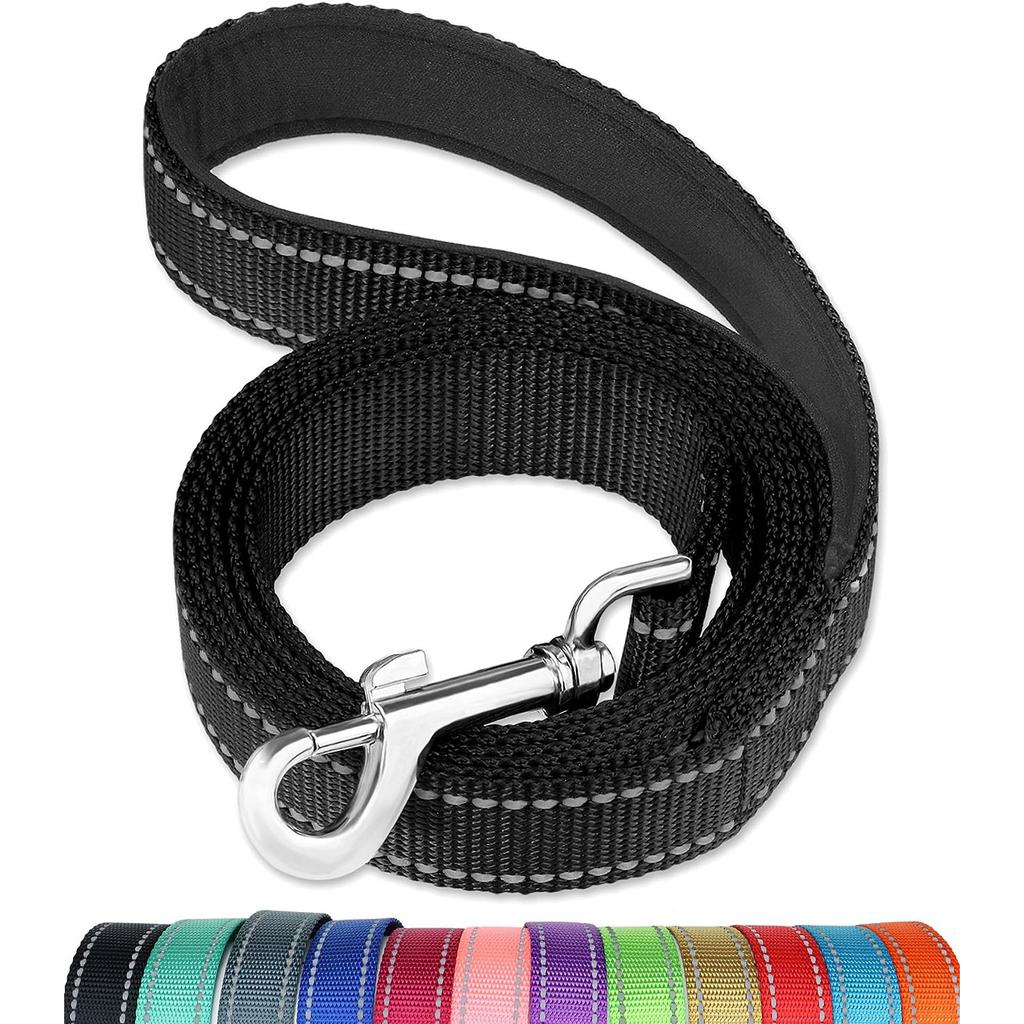 Reflective Dog Leash - Soft Padded Handle for Comfortable Training and Walking - Ideal for Medium and Small Dogs - High Visibili