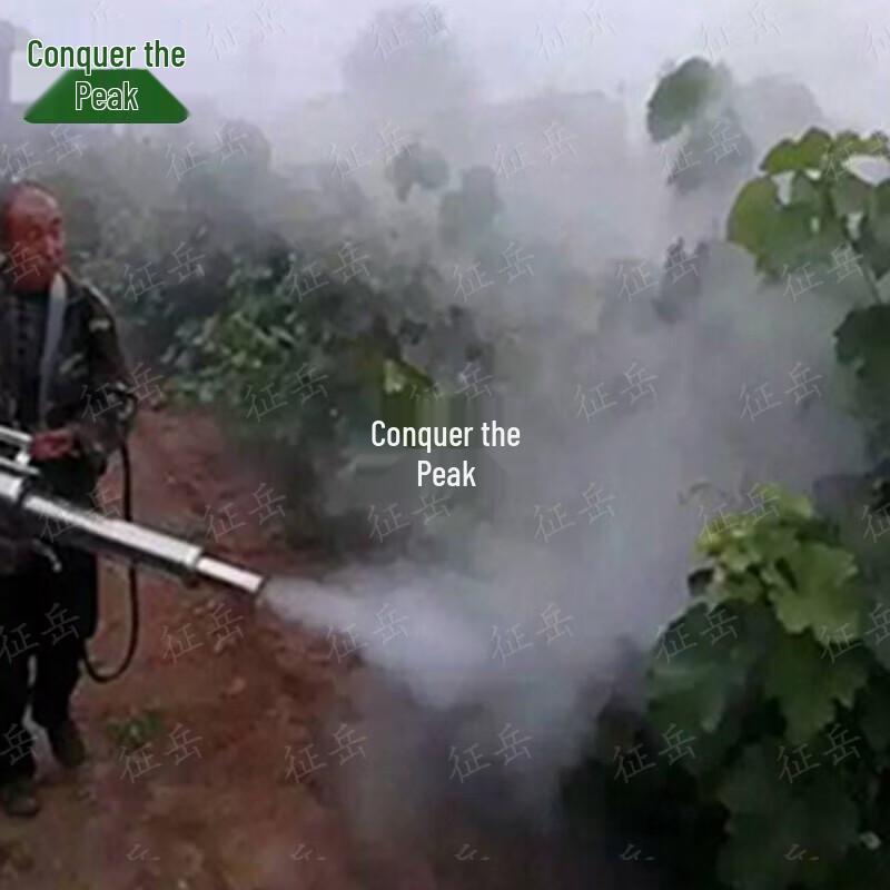 Zhengyue Disinfection Pulse Fogger