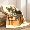 French Bulldog Brothers Printed Blanket - Soft Flannel Breathable & Non-Shedding Perfect for Home Decor Office Dorm and Outdoor Ca