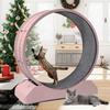 Cat Exercise Wheel Cat Wheels for Indoor Cats,Cat Treadmill Wheel Exerciser with Carpeted Runway,  Cat Wheel for Fitness Weight.