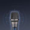 Wireless Microphone Dual Handheld Dynamic Microphone Professional Karaoke Mic for Stage Church Party School Live Speaker Meeting Show